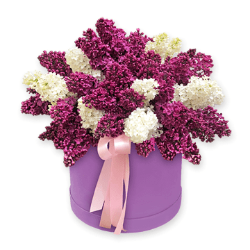 Camomiles in box