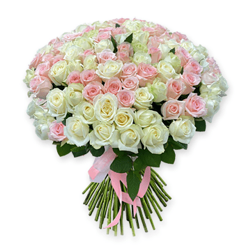 Weiße und rosa Rosen