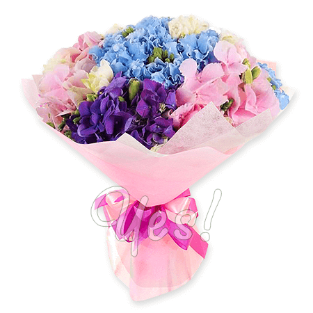 Bouquet of different color hydrangeas