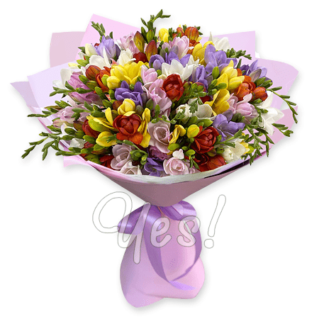 Bouquet of freesias