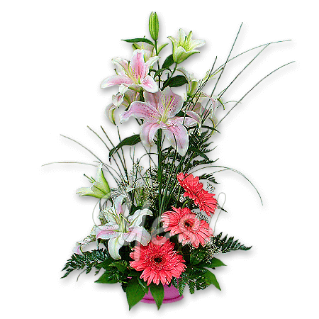 Composition with lilies and gerberas