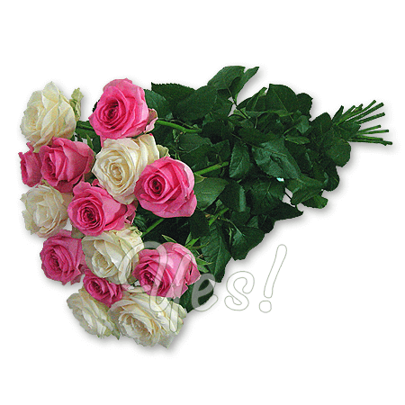 Bouquet white and pink roses (60 cm.)
