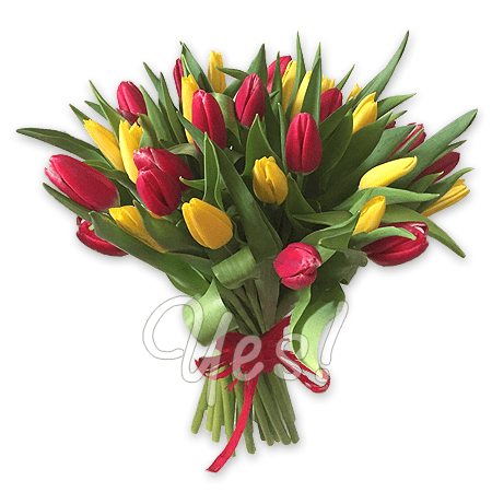 Blumenstrauß aus rote und gelbe Tulpen