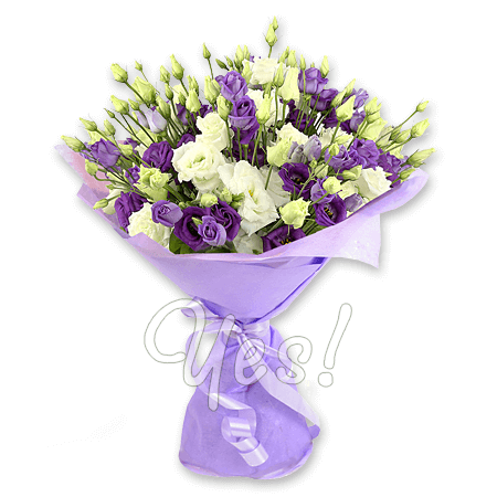 Bouquet of white and lilac lisianthus