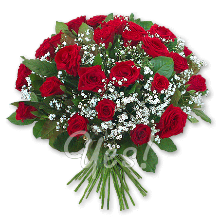 Blumenstrausß aus roten Rosen (80 cm.)geschmückt mit Grünpflanzen