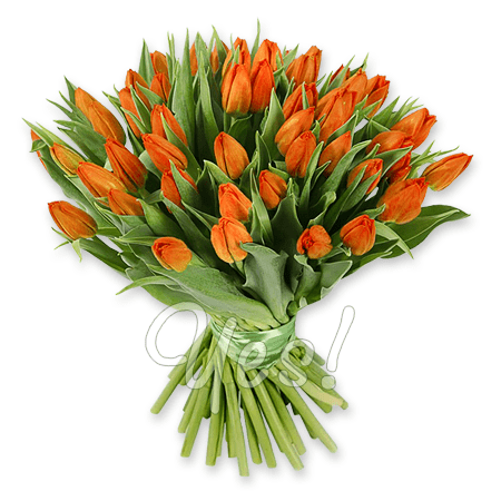 Blumenstrauß aus orangefarbene Tulpen
