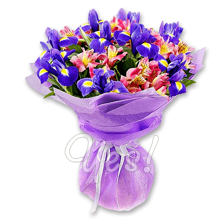 Bouquet of irises and alstroemerias