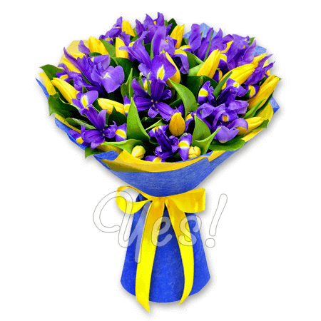 Blumenstrauß aus Irisen und Tulpen