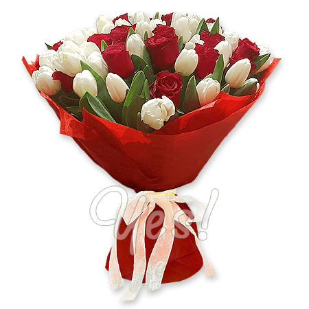 Bouquet of red roses and white tulips