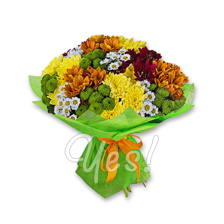 Bouquet of different color chrysanthemums