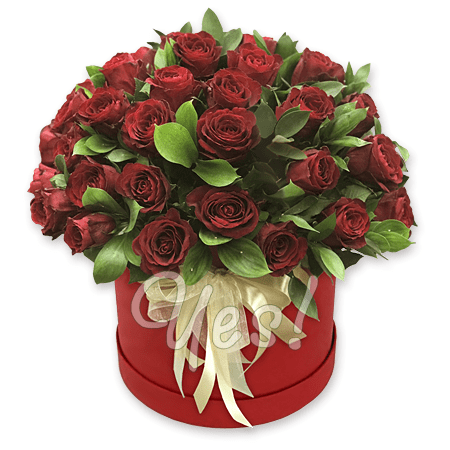 Red roses in box