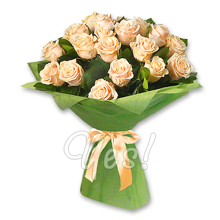 Bouquet of cream roses (60 cm.)