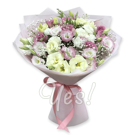 Bouquet of white and pink lisianthus