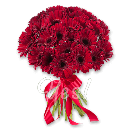 Bouquet of red gerberas