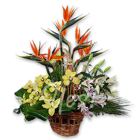 Basket with exotic flowers