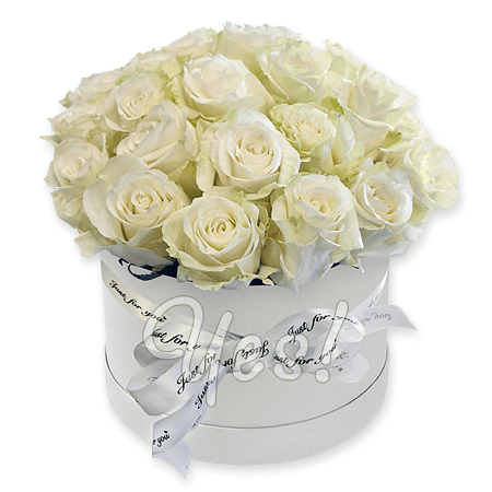 White roses in box