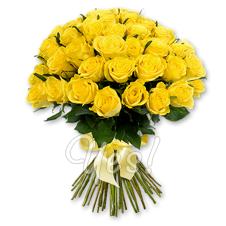 Blumenstrausß aus gelben Rosen (60 cm.)