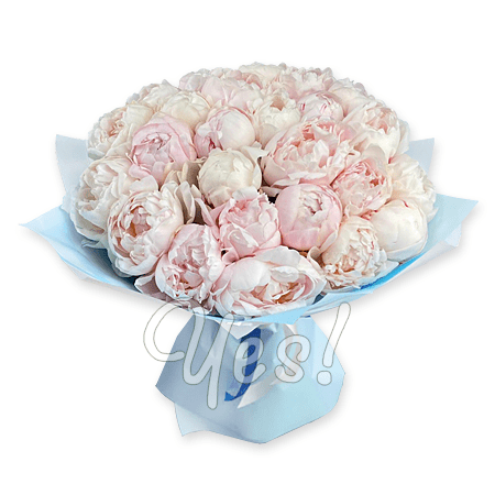 Bouquet von weißen und rosigen Päonien