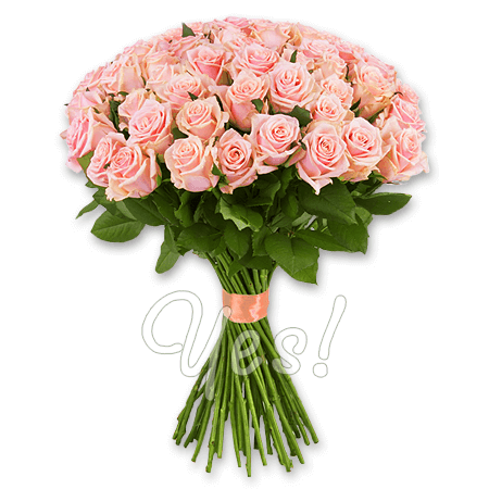 Букет из розовых роз (80 см.)
