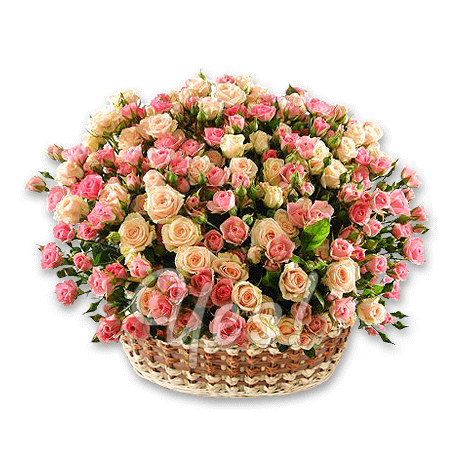Basket with roses spray
