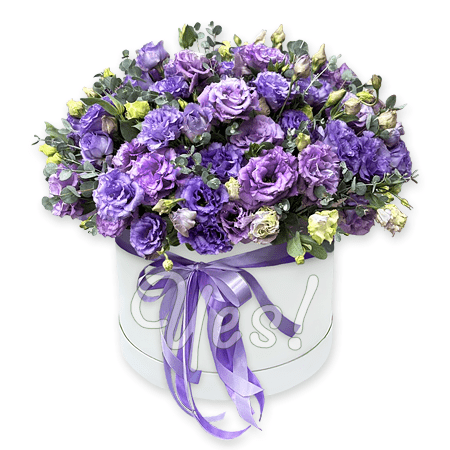 Lisianthus in a box
