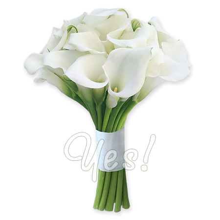 Bouquet of calla lilies