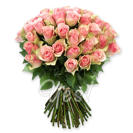Букет з рожевих троянд (60 см.)