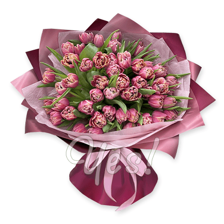 Букет з рожевих тюльпанів