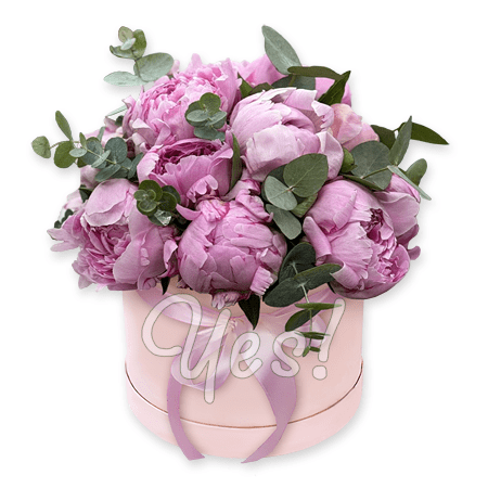 Peonies in a box with eucalyptus
