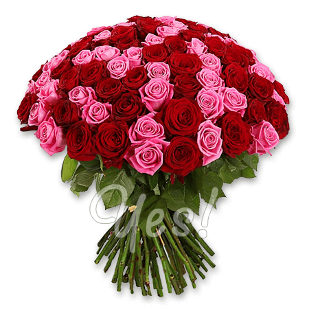 Букет из красных и розовых роз (60 см.)