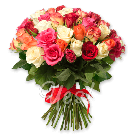 Bouquet of different color roses (50 cm.)