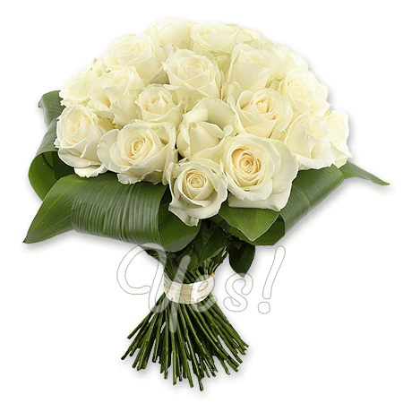 Bouquet von weiße Rosen (50 cm.)
