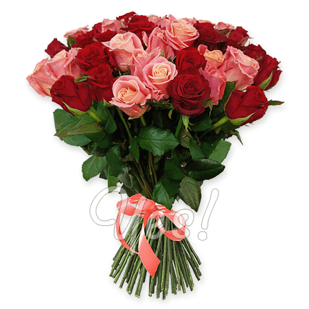 Bouquet red and pink roses (80 cm.)